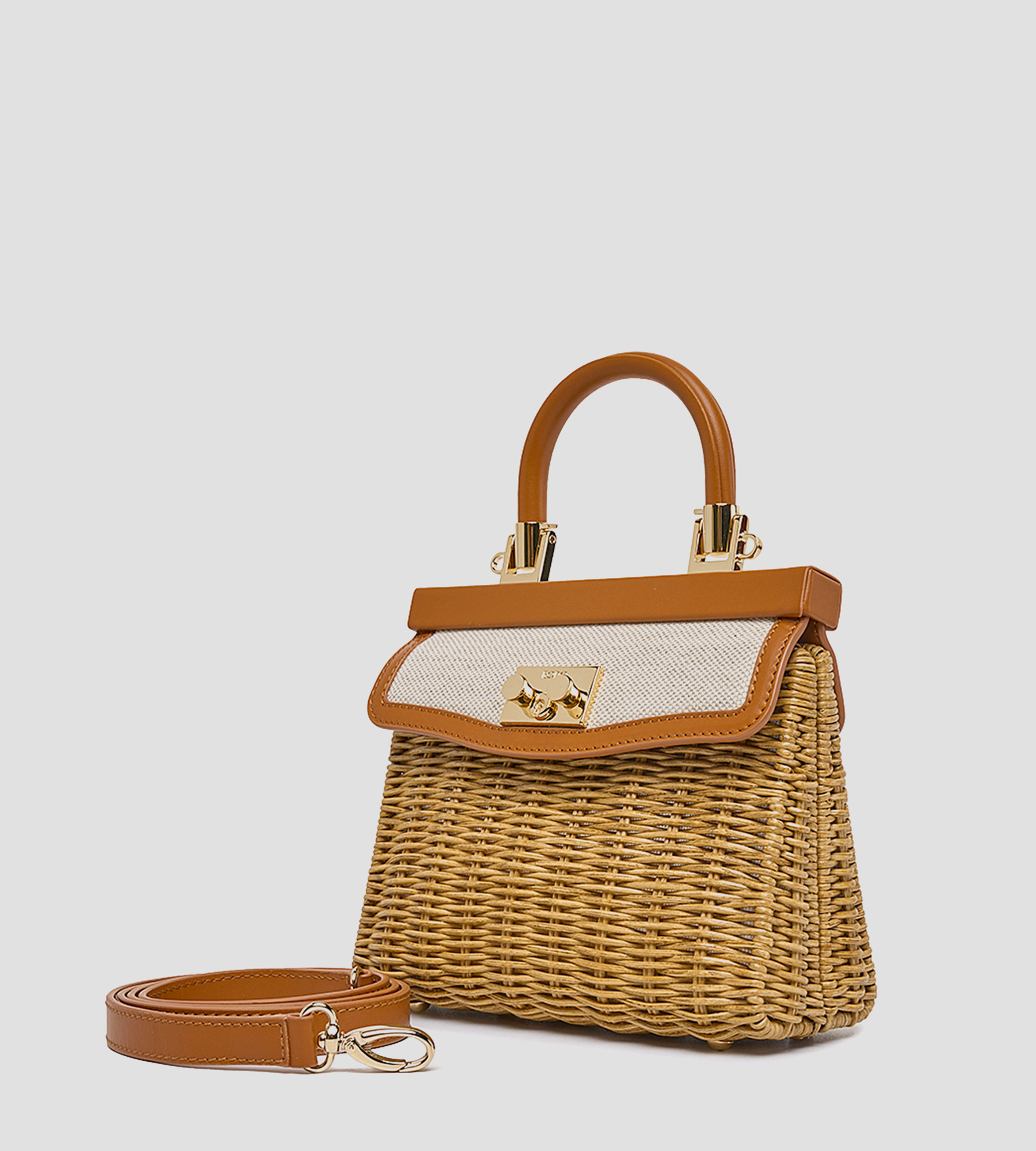 Petit saule de Paris