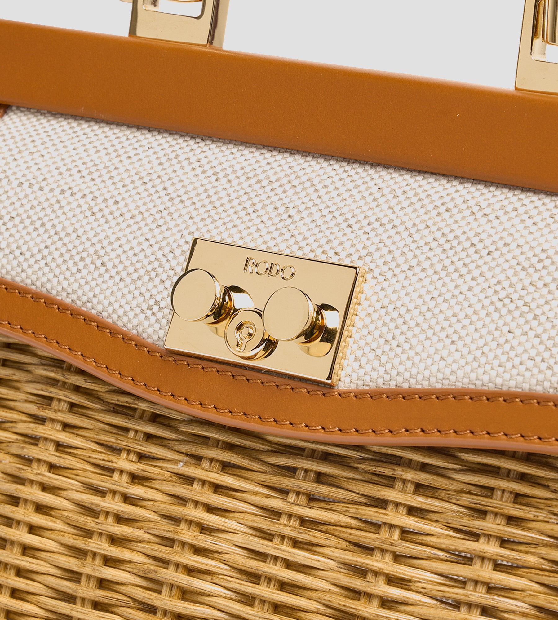 Petit saule de Paris