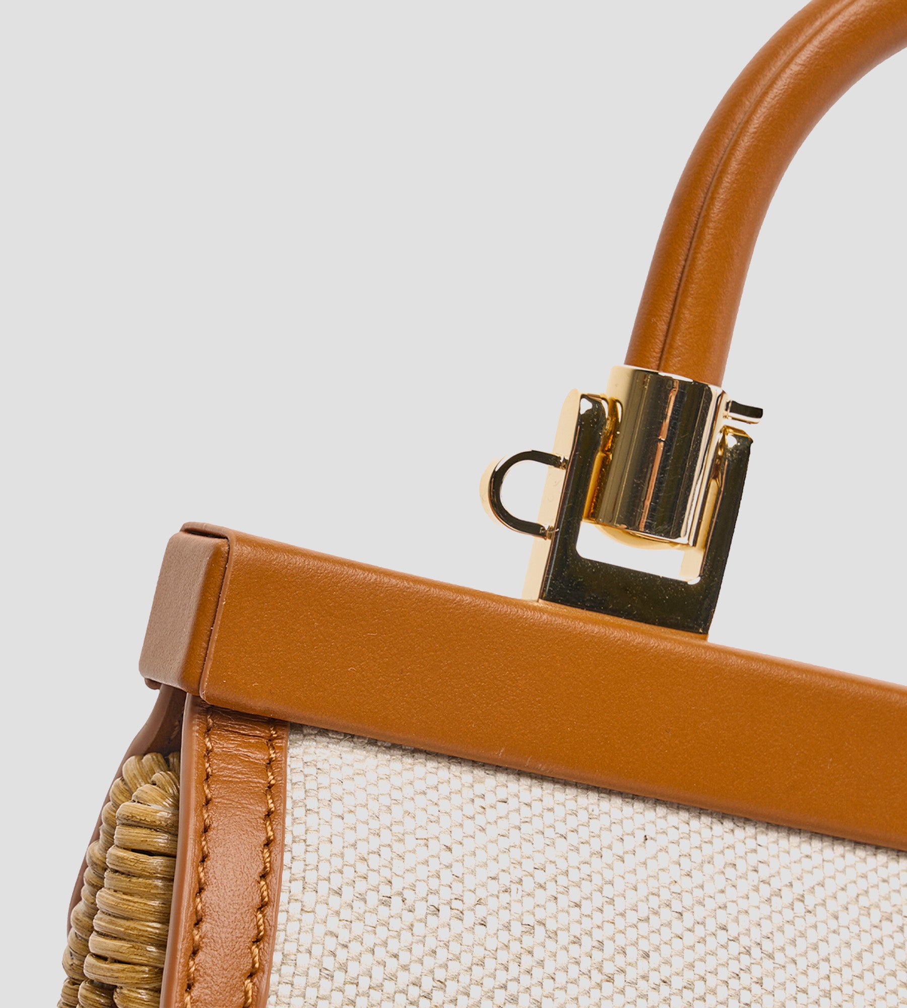 Petit saule de Paris