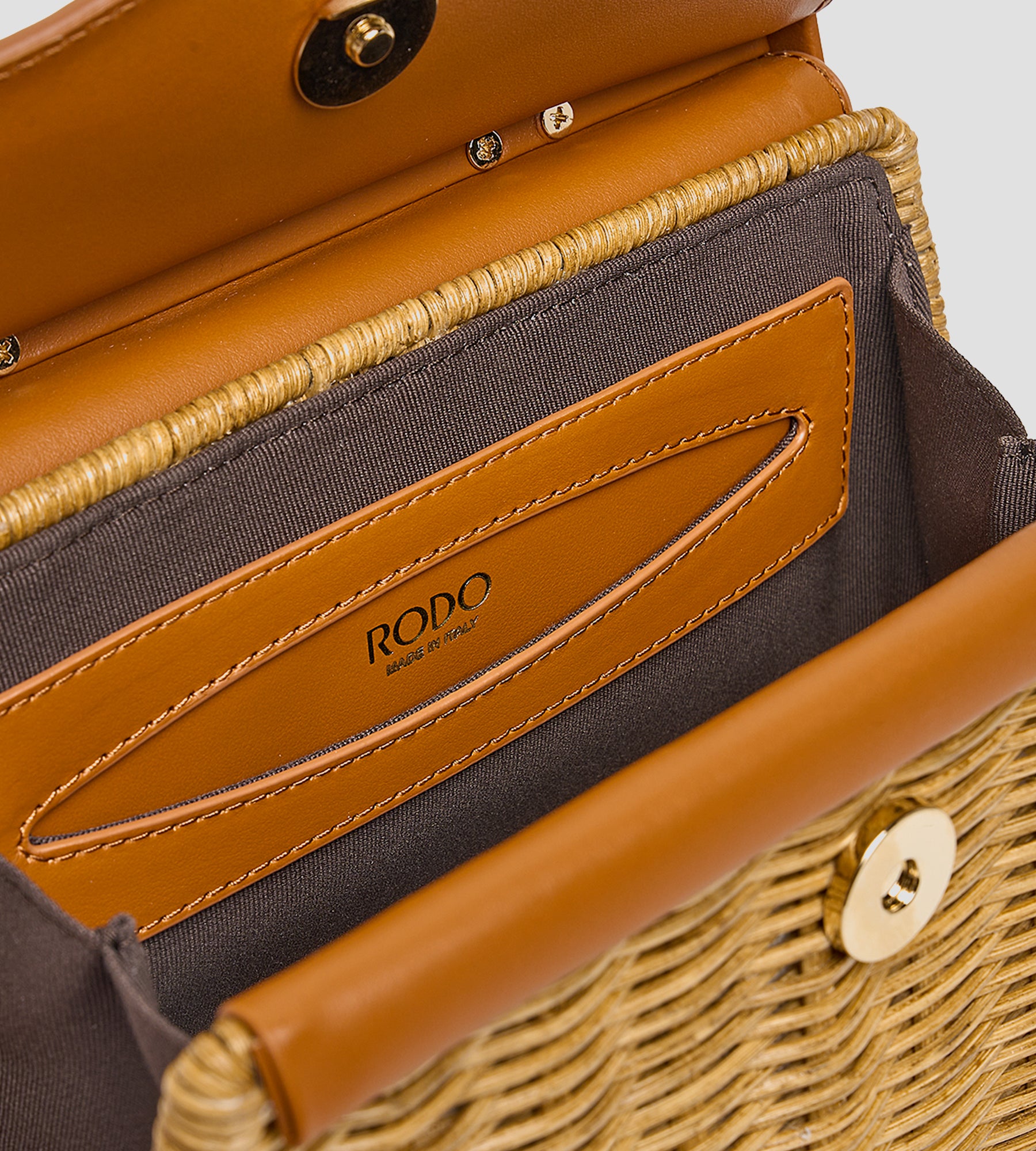 Petit saule de Paris