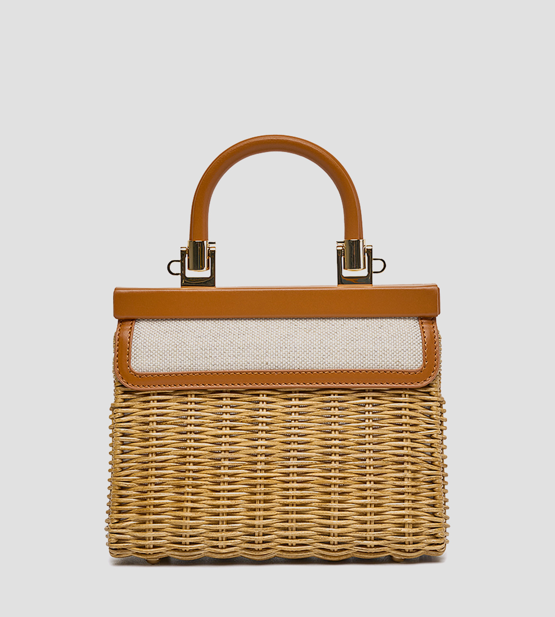 Petit saule de Paris